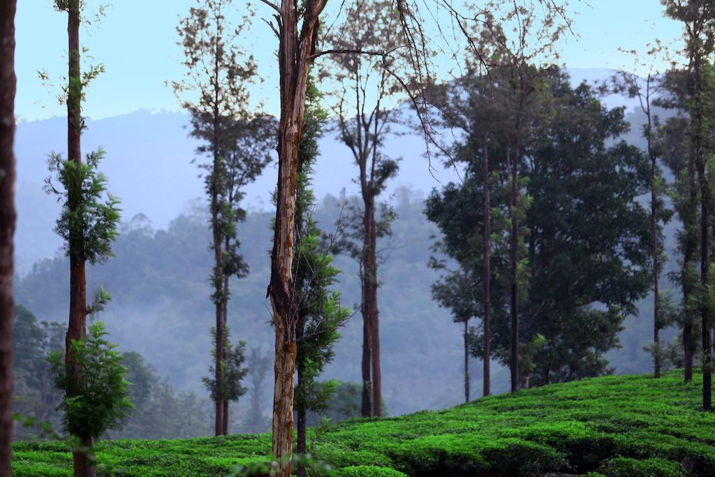 Parisons Plantation Experiences By Abad Hotel Mananthavady Exterior photo