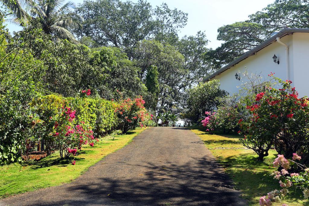 Parisons Plantation Experiences By Abad Hotel Mananthavady Exterior photo