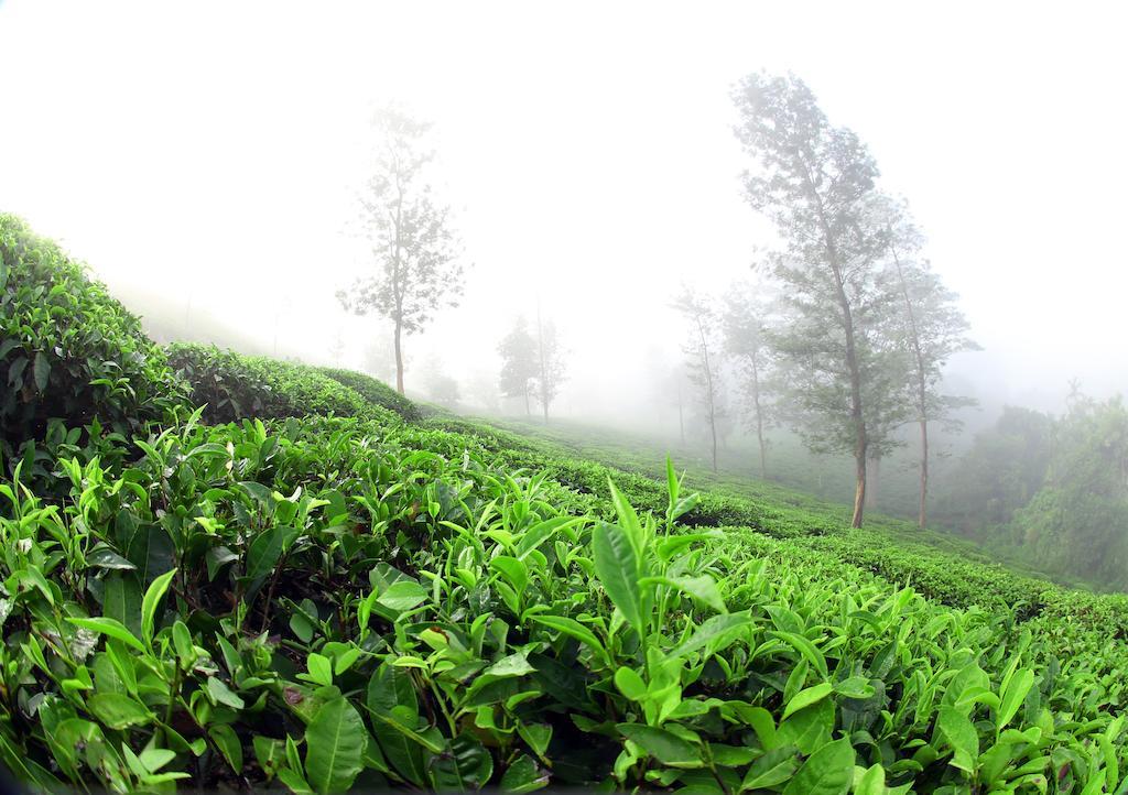 Parisons Plantation Experiences By Abad Hotel Mananthavady Exterior photo